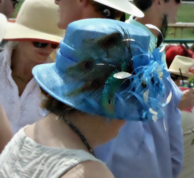 blue hat peacock feathers