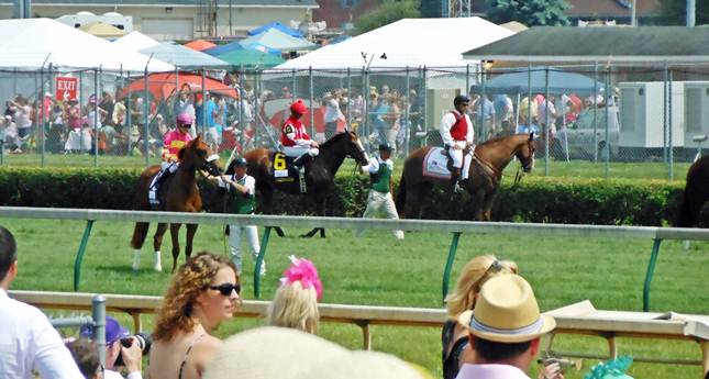 bringing the horses into the starting gate