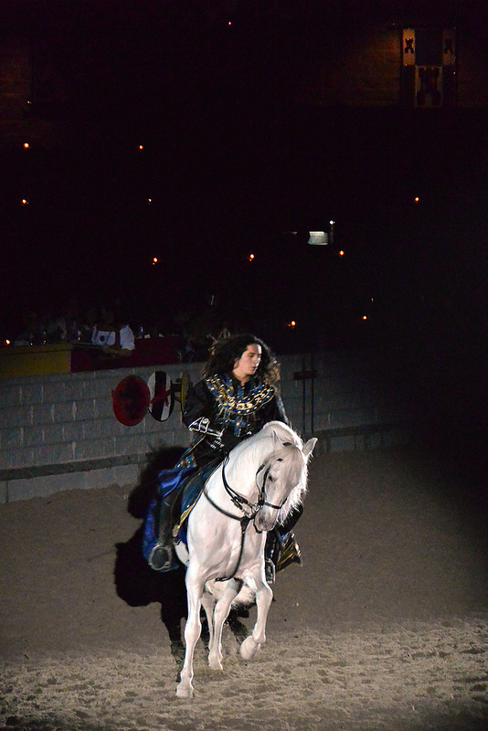 Medieval Times Andalusian