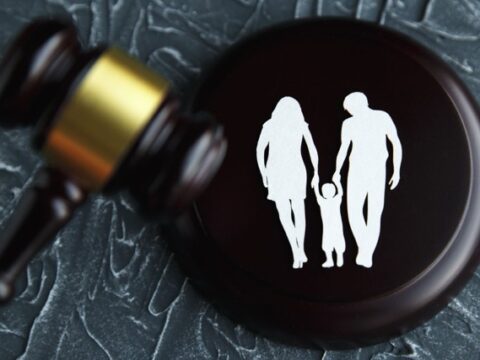 custody cases